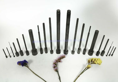 Nitridedは1.2344中心Pinの射出成形の部品/アルミニウム自動車部品ダイ カストの
